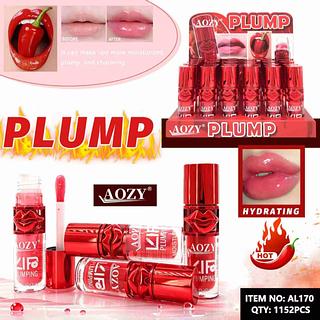 LIP GLOSS PLUMP C/24PCS